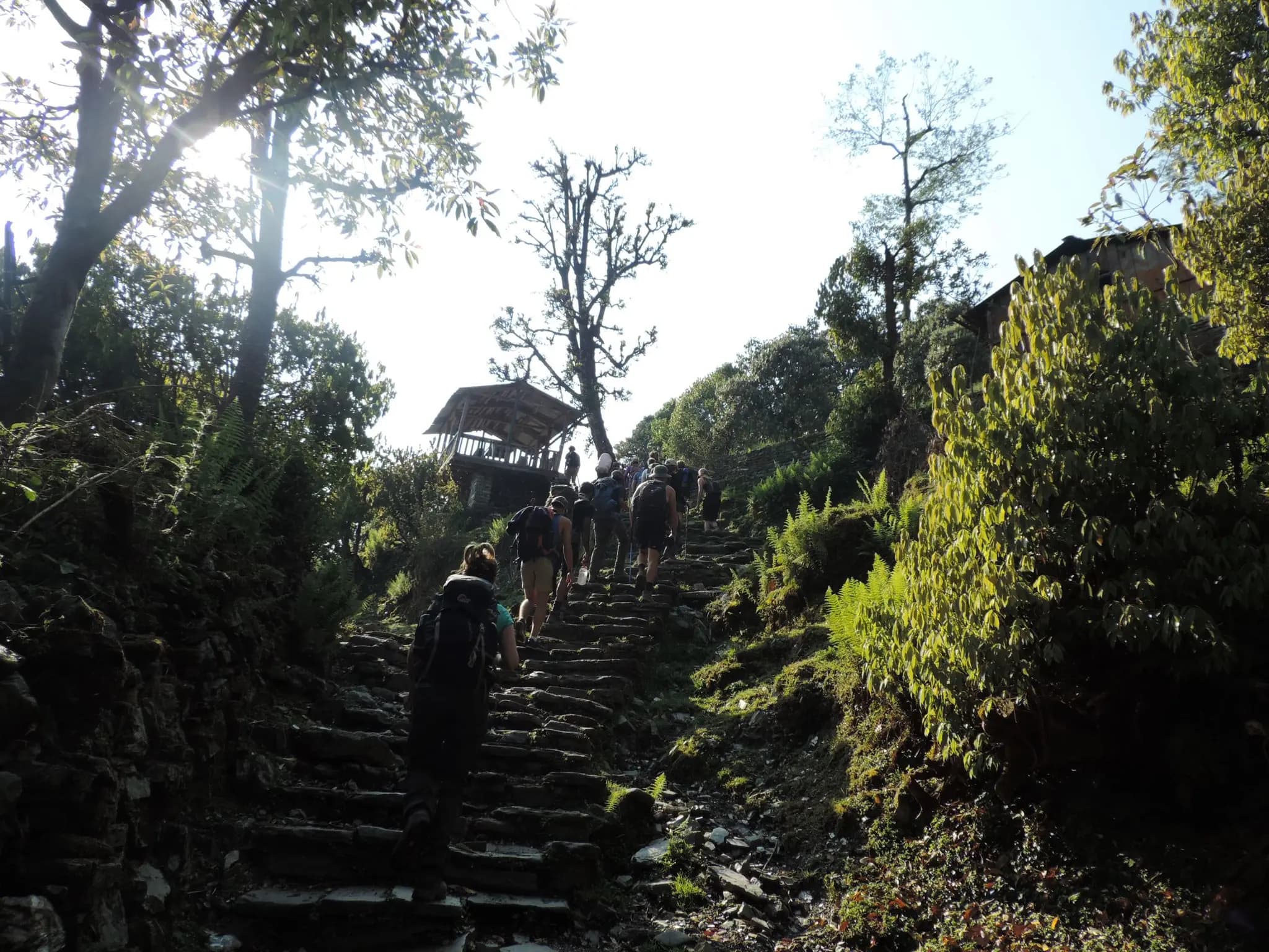 https://sapi.travelnepal.com.au/media/image/image-3_vybtMD6.webp