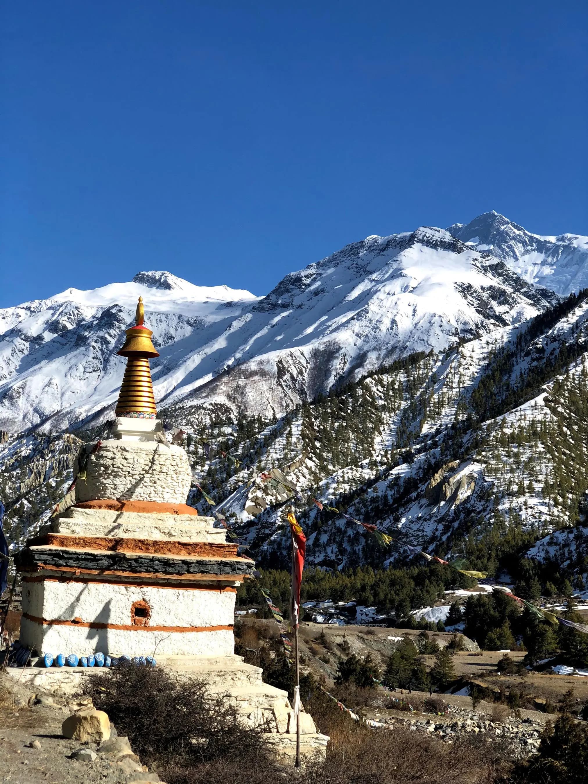 https://sapi.travelnepal.com.au/media/image/image-4_SEQtkv0.webp