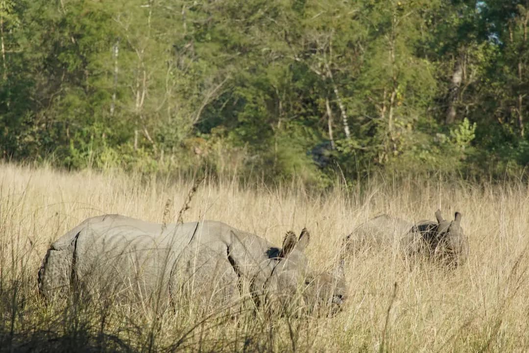 https://sapi.travelnepal.com.au/media/image/nnc4.webp